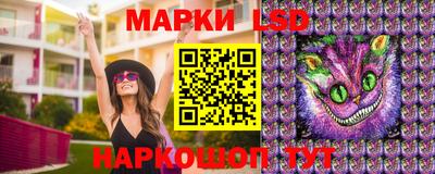 СК Обнинск