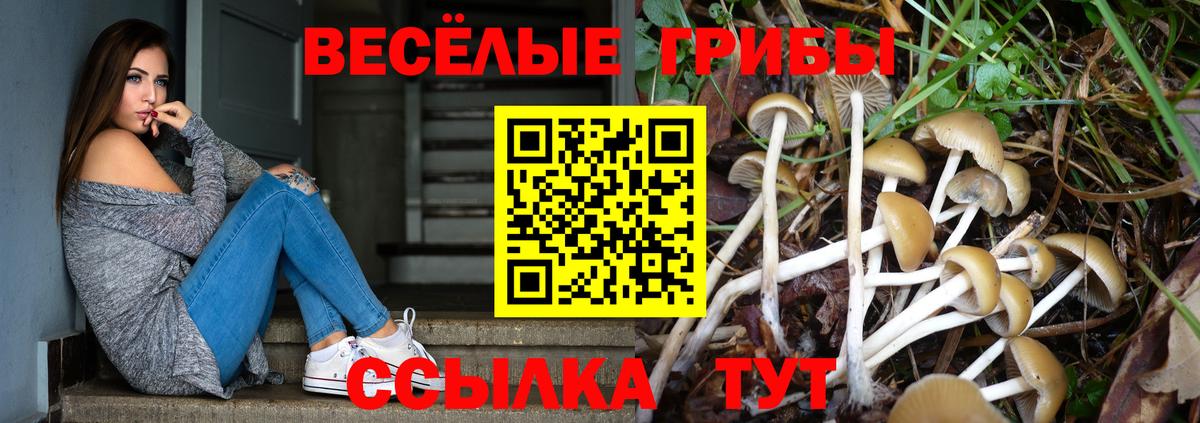 Галлюциногенные грибы Psilocybine cubensis Тавда