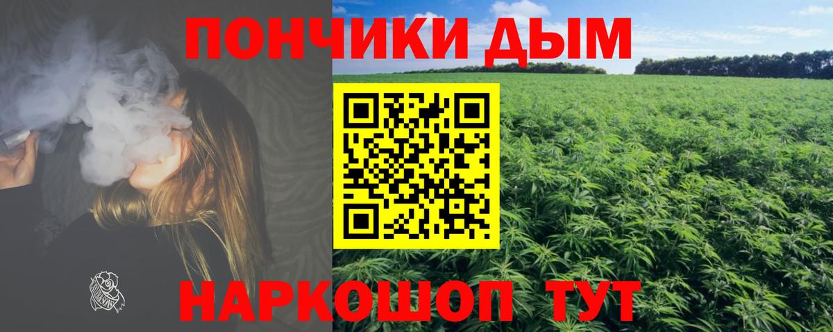 Марихуана планчик  Бошки Шишки марихуана  Тавда  МАРИХУАНА план  Вход с VPN  МАРИХУАНА AK-47 